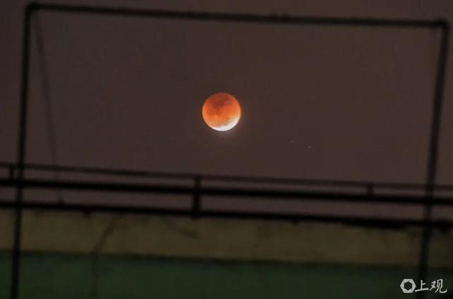 上海高温返场,至少要热到这天!网友叹息:没完没了;明晚抬头看,持续83分钟,错过等一年