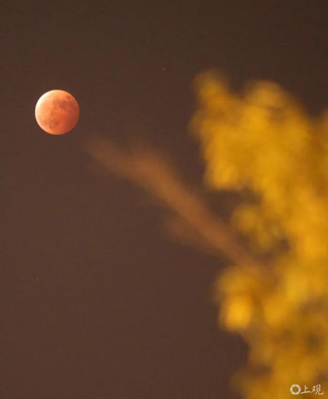 上海高温返场,至少要热到这天!网友叹息:没完没了;明晚抬头看,持续83分钟,错过等一年