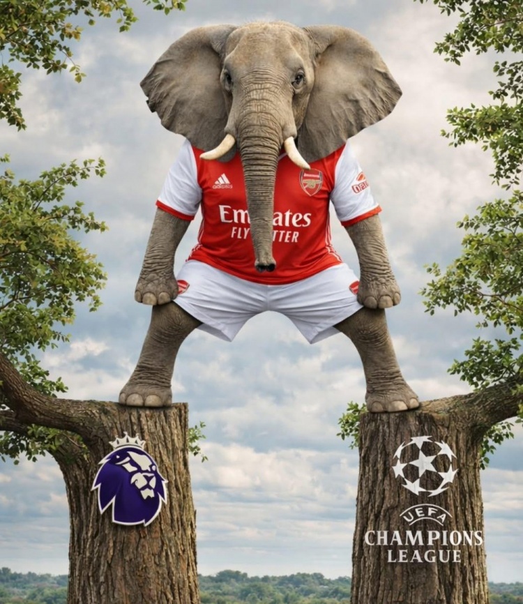 中国足彩网比分直播-今日趣图：你还真别说🤓把王钰栋头发遮住，真变成姆巴佩了